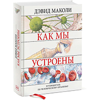 kak-my-ustroeny