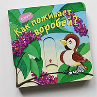 kak-poghivaet-vorobey