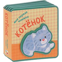 kotenok-moya-pervaya-knighka